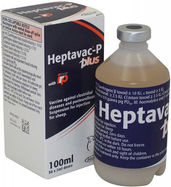 Picture of Heptavac P Plus - 100ml - UK