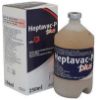 Picture of Heptavac P Plus - 250ml - UK