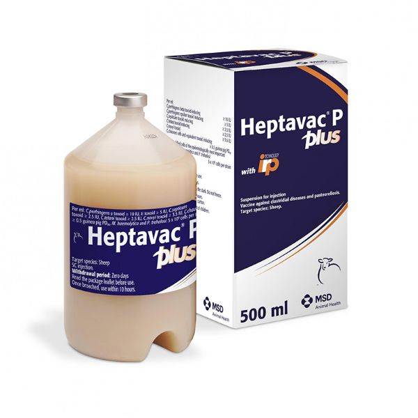 Picture of Heptavac P Plus - 500ml - UK