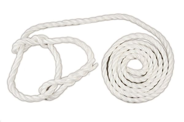 Picture of Cattle Polypropylene Halter - without ring