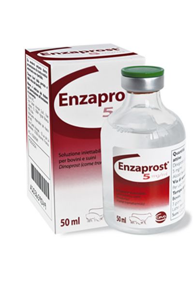 Picture of Enzaprost 5mg/ml 30ml