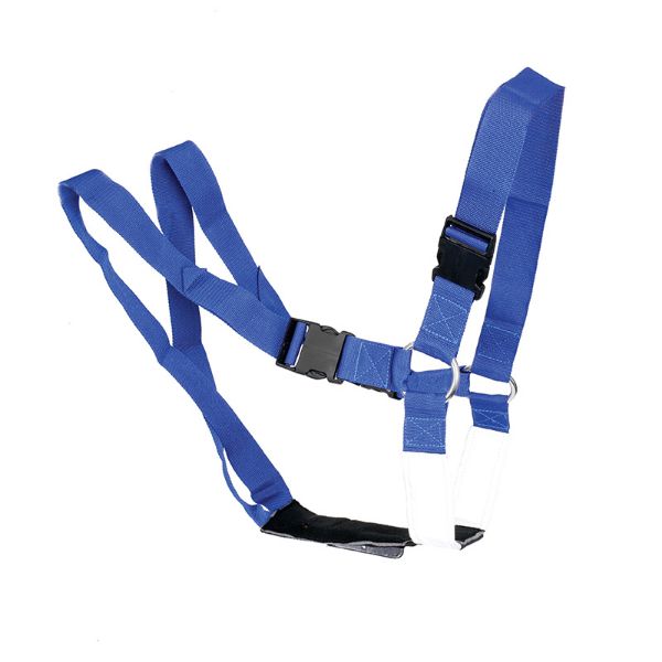 Picture of Super Blue Ram Harness