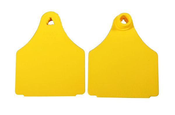 Picture of Large Blank Eartag Front - Yellow