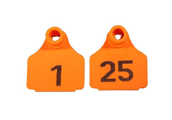Picture of Large Front  Eartag  - 1-25 - Orange
