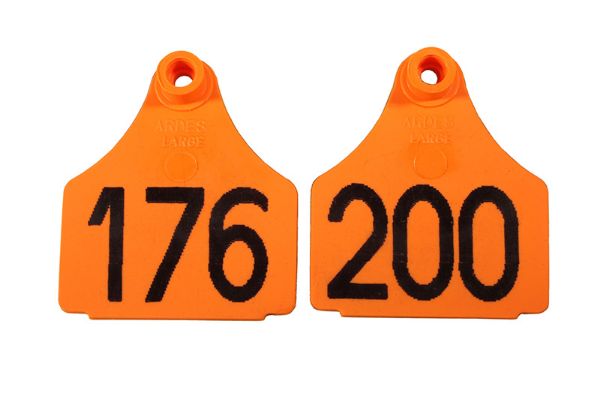 Picture of Large Front  Eartag  - 176-200 - Orange