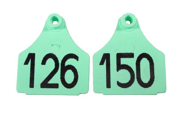 Picture of Large Front  Eartag  - 126-150 - Green