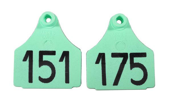 Picture of Large Front  Eartag  - 151-175 - Green