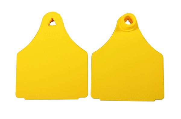 Picture of Medium Blank Eartag - Yellow