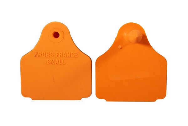 Picture of Blank Eartag Back - Orange