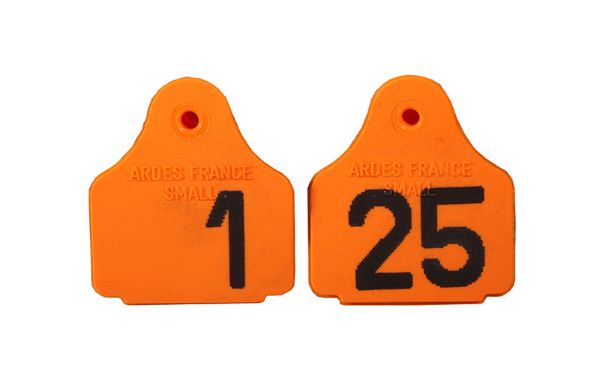 Picture of Eartag Back - 1-25 - Orange