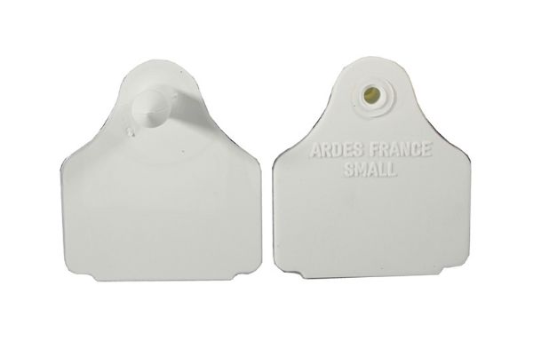 Picture of Blank Eartag Back - White