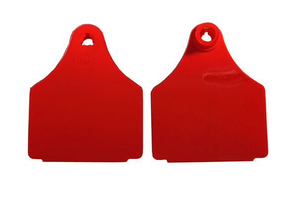 Picture of Large Blank Eartag Front - Red
