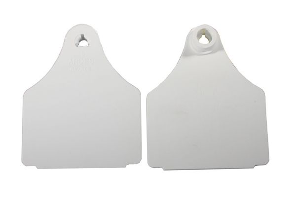 Picture of Large Blank Eartag Front - White