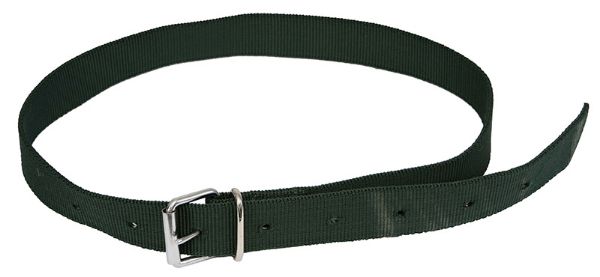 Picture of Cow Nylon Collar - Green
