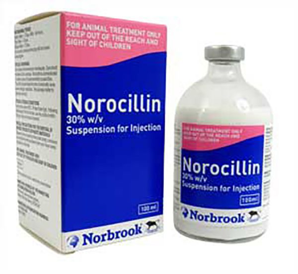 Picture of Norocillin - 100ml