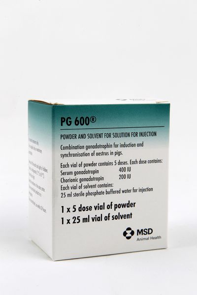 Picture of Pg600 - 1 x 5ml