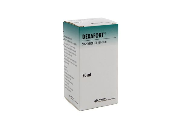 Picture of Dexafort - 50ml
