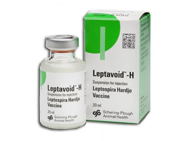 Picture of Leptavoid - H - 20ml