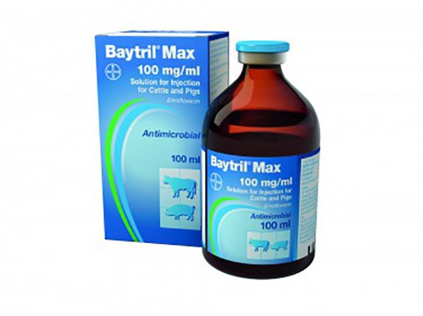 Picture of Baytril Max - 100ml