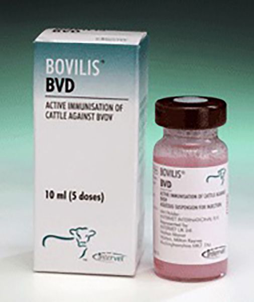 Picture of Bovilis Bvd - 10ml