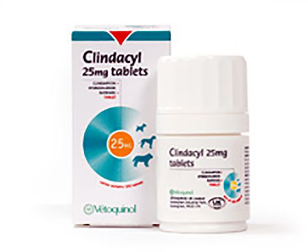 Picture of Clindacyl - 25mg