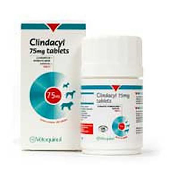 Picture of Clindacyl - 75mg