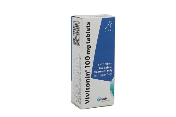 Picture of Vivitonin - 100mg - 60pack