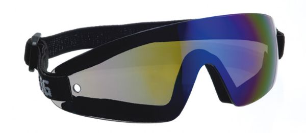 Picture of SSG Safety Goggles - Blue Revo