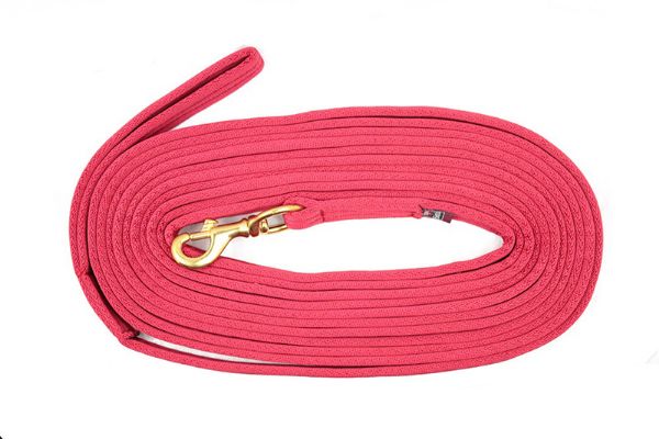 Picture of EquiSential Padded Lunge Rein - 24' - Red