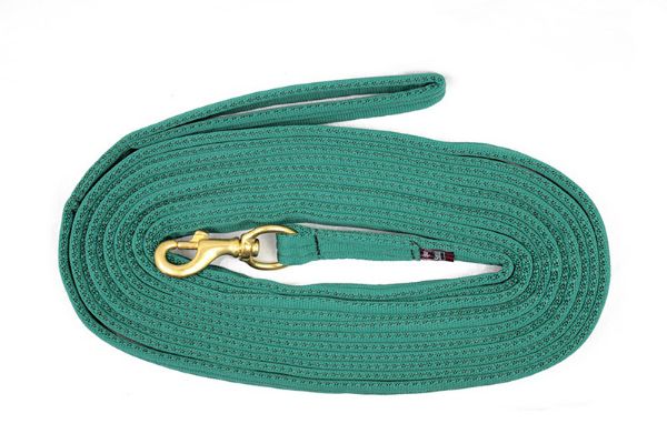 Picture of EquiSential Padded Lunge Rein - 24' - Green