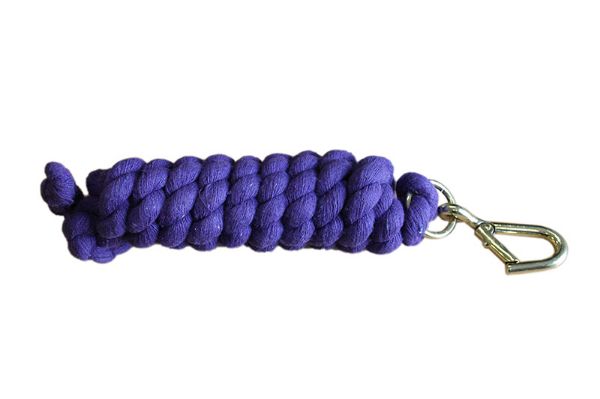 Picture of Equisential Walsall Leadrope - 6' - Purple