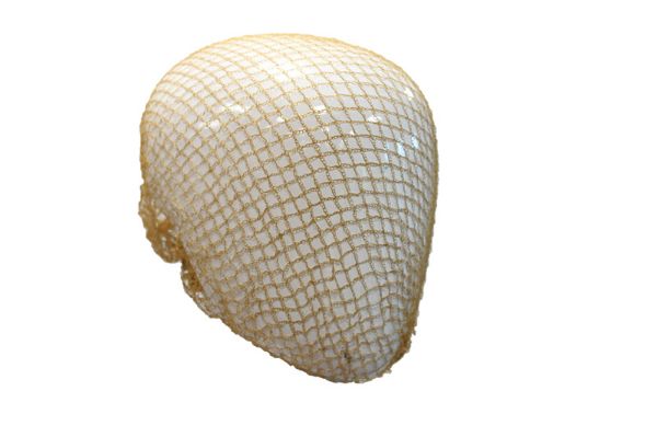 Picture of Heavy Weight Hairnet - Light Brown