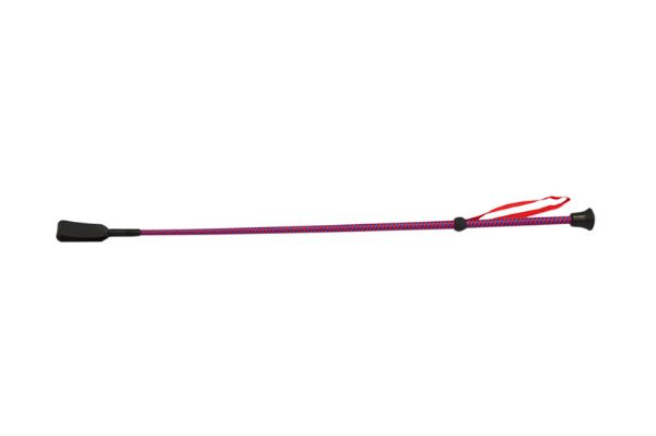 Picture of C1 Whip - Blue/Red