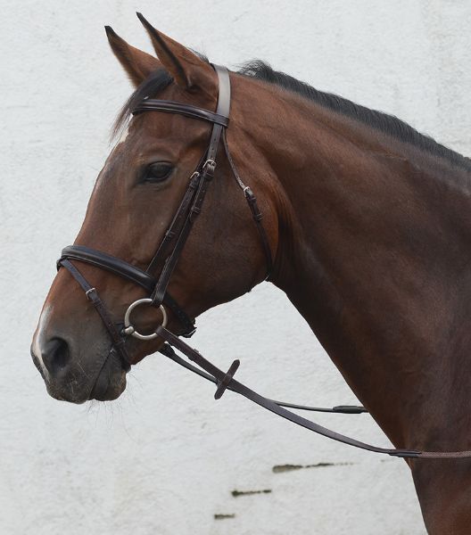 Picture of Mackey Classic Flash Bridle - Full - Brown