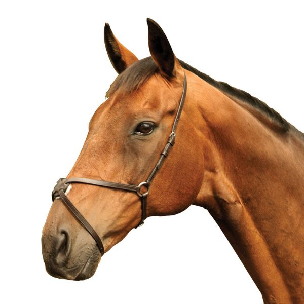Picture of Mackey Classic Grackle Noseband  - Pony - Black