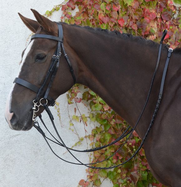 Picture of Mackey Classic Double Bridle  - Cob - Black