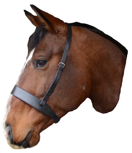 Picture of Mackey Classic Wide Flat Cavesson Noseband - Cob - Black