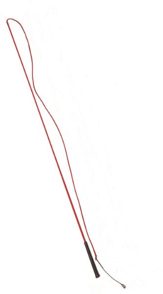 Picture of Economy Lunge Whip - Red