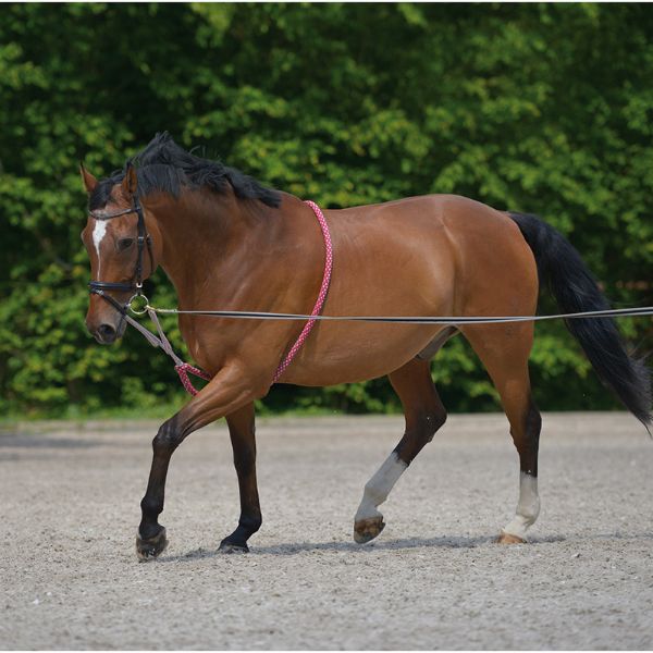 Picture of Lunging Aid - Pony - Red/Grey