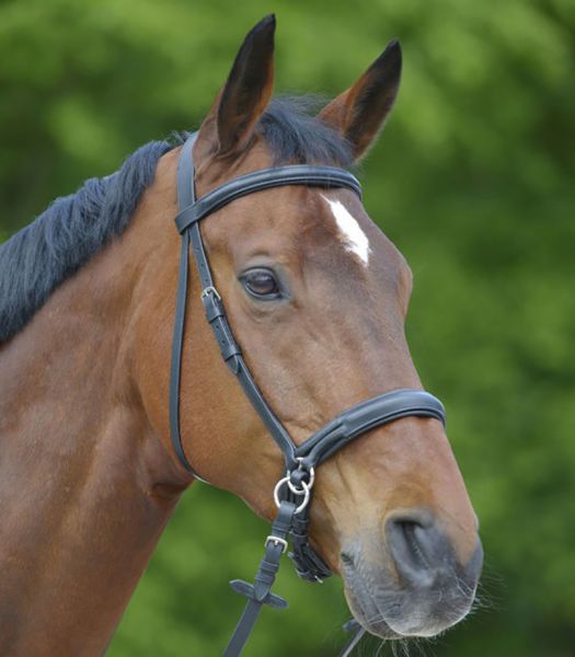 Picture of Star Bitless Bridle - Pony - Black