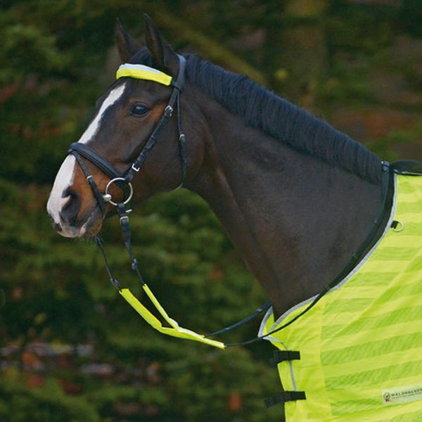 Picture of Reflex Bridle Set - Neon Yellow