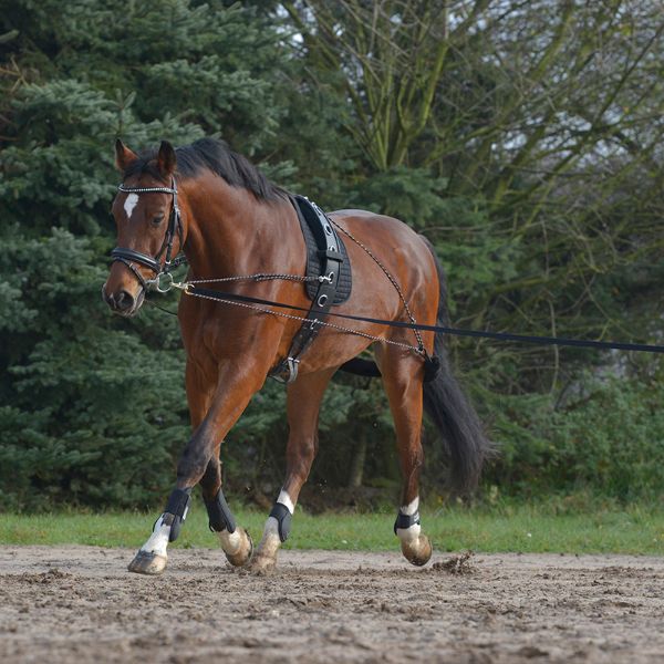 Picture of Lunging System - Cob/Full - Black