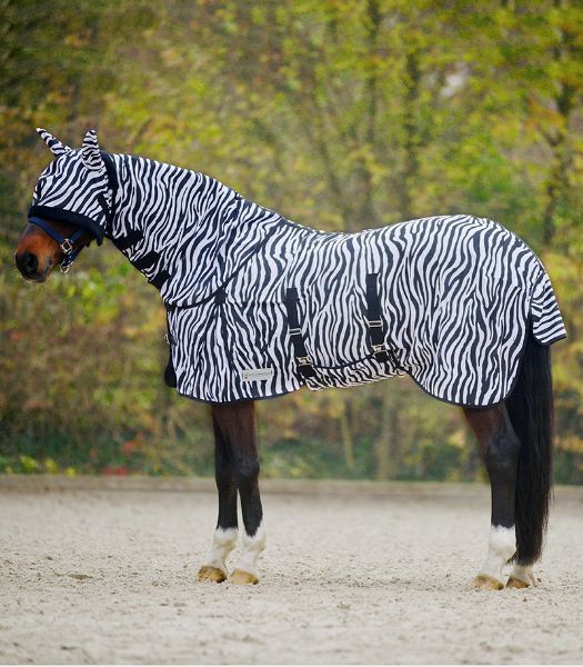 Picture of Anti-Fly Rug Zebra - 75cm/4'0"