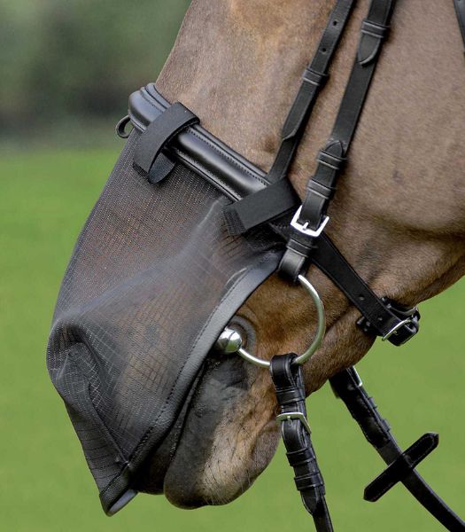 Picture of Nose Protection - Pony