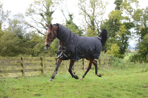 Picture of Lugnaquilla Plus Heavyweight Turnout Rug 125cm/5'9"