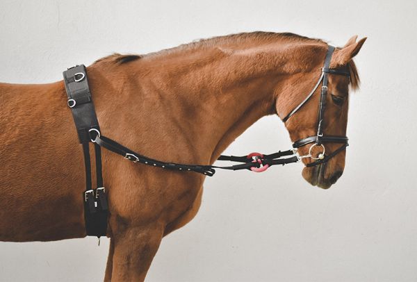 Picture of Nylon Side Reins  - Pony - Black