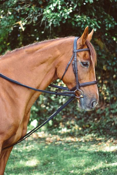 Picture of EquiSential Padded Draw Reins