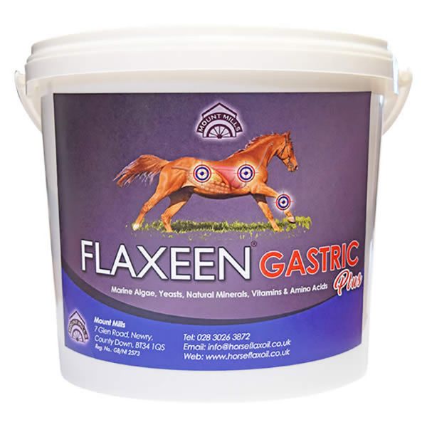 Picture of Mount Mills Flaxeen Gastric Plus - 3Kg