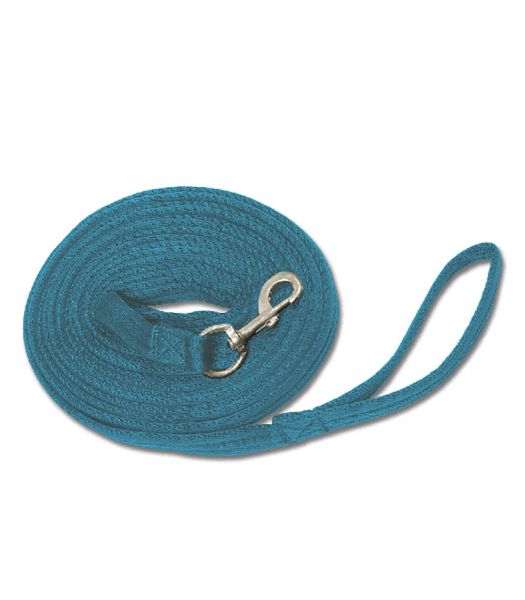 Picture of Griffy Lunge Line - 8m - Blue