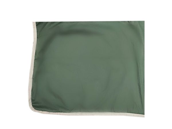 Picture of Branding Rug Green/White Trim 5.3